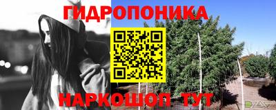 PSILOCYBIN Первоуральск